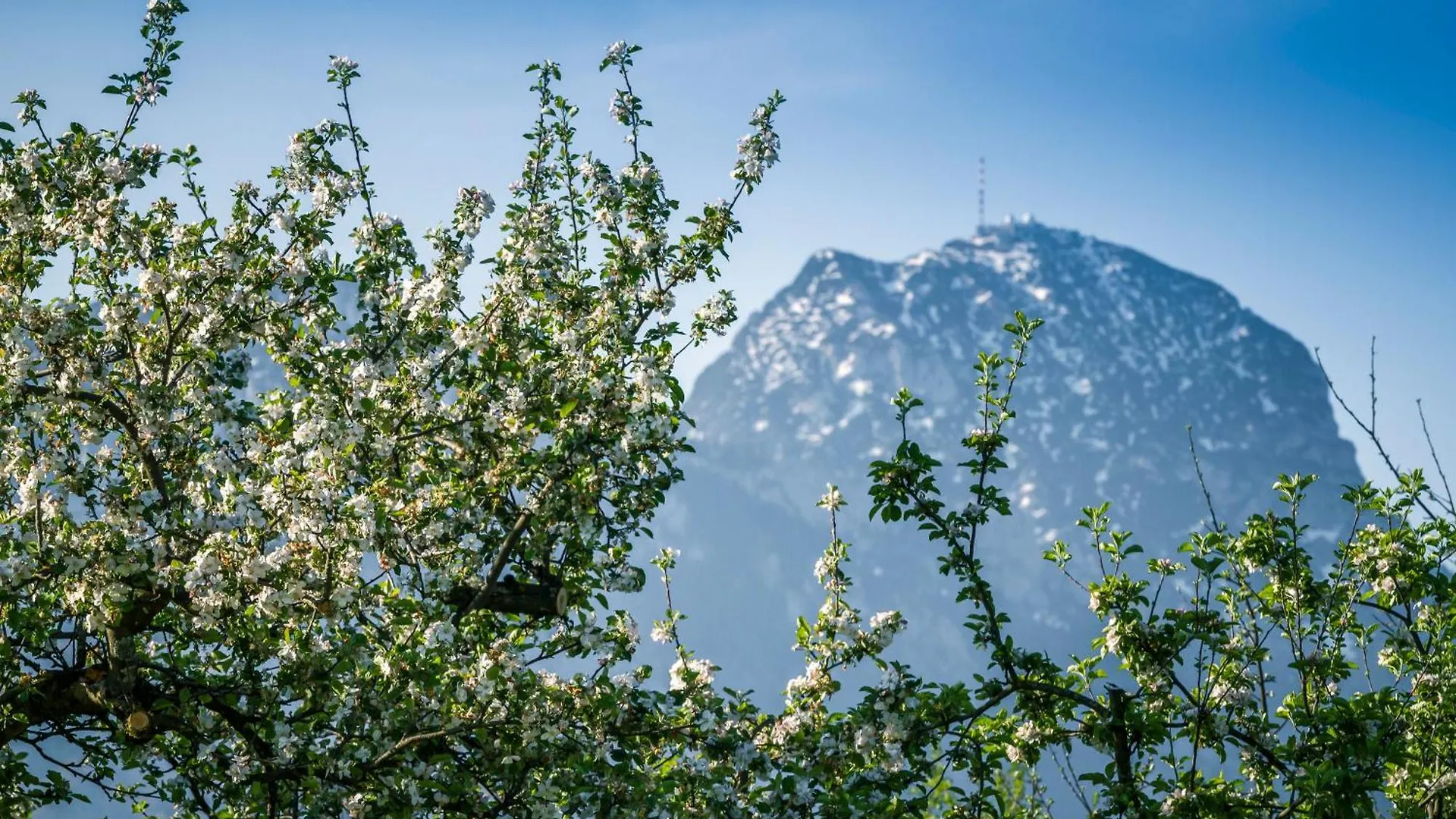 Land Wirtschaft Höß Bad Feilnbach